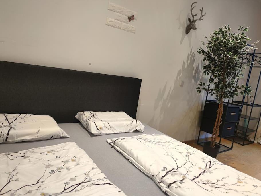 Modernes Im Herzen Leipzigs Apartment *